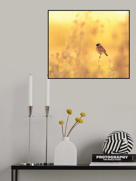 The Golden Hedgerow. Poster och Canvastavla