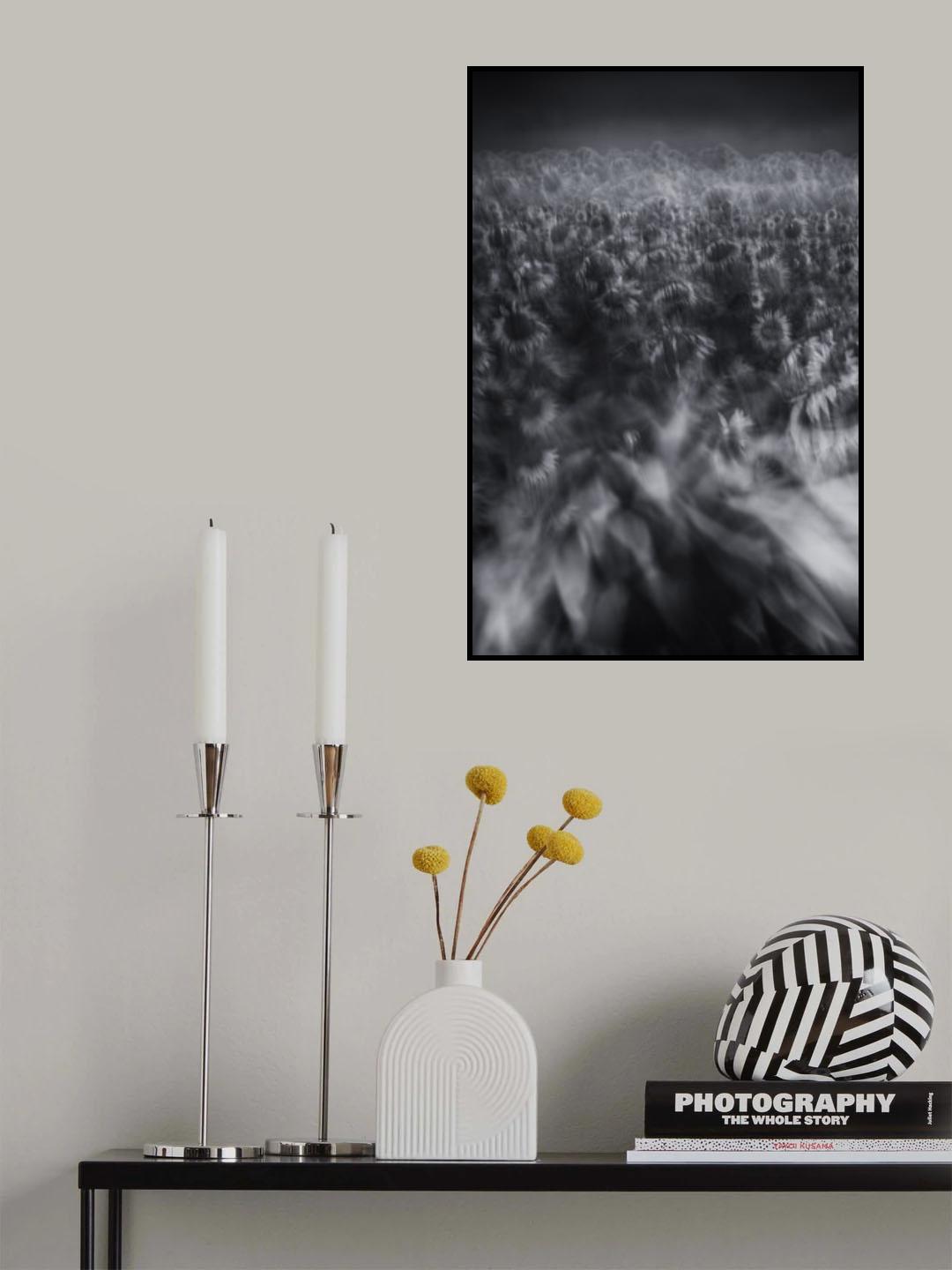 Sunflower Wave Poster och Canvastavla