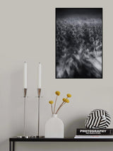 Sunflower Wave Poster och Canvastavla