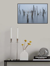 Frozen and foggy world ........ Poster och Canvastavla