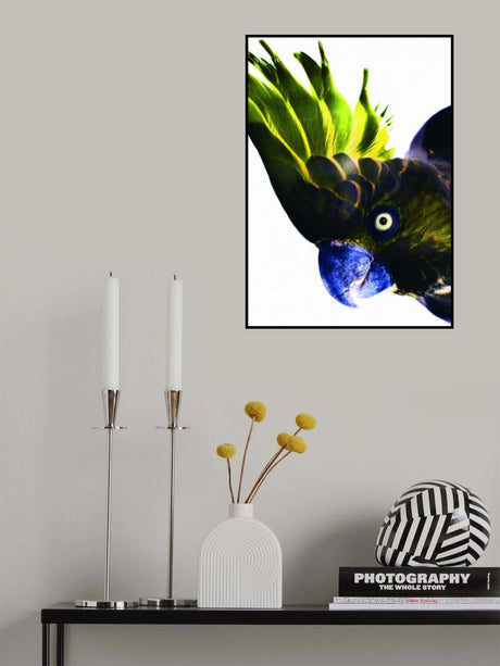 Punk Rocker Poster och Canvastavla