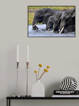 Team Poster och Canvastavla