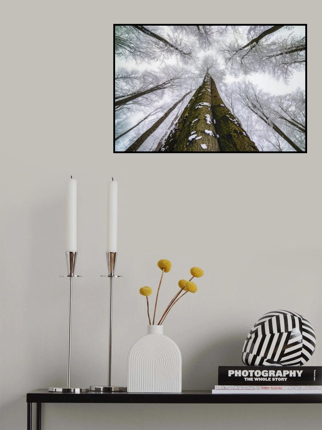 Looking up Poster och Canvastavla
