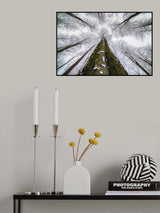 Looking up Poster och Canvastavla