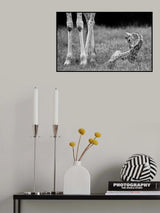 Well protected II Poster och Canvastavla