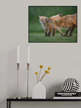 My dearest baby Poster och Canvastavla