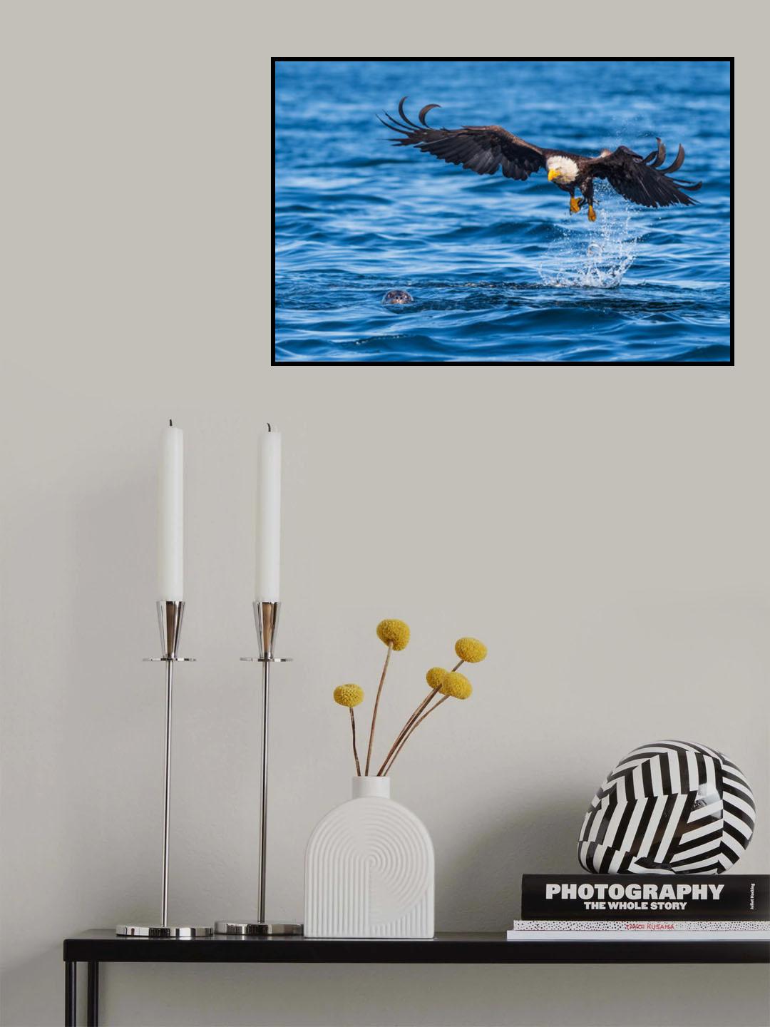 The eagle and the sea lion Poster och Canvastavla
