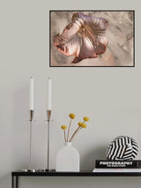 Nature's jewel Poster och Canvastavla