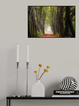 A Glorious Day Poster och Canvastavla