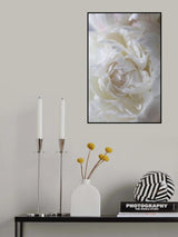 Peony_14 Poster och Canvastavla