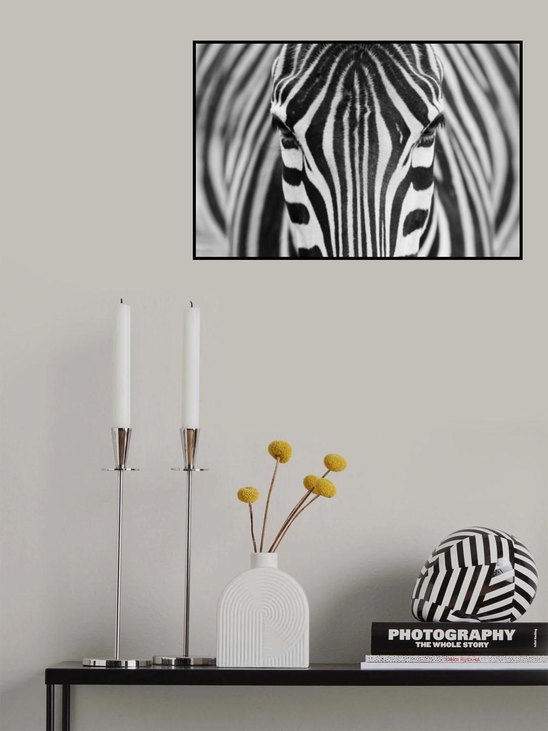 Zepra Poster och Canvastavla