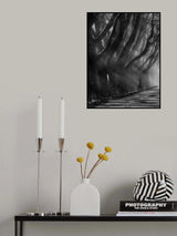 Poster och Canvastavla