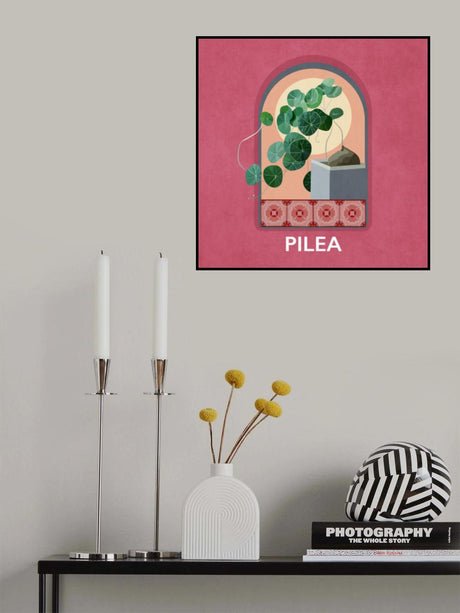 Green Sets Pilea Poster och Canvastavla