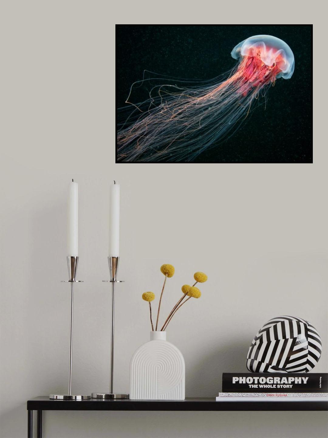 Longtail Poster och Canvastavla