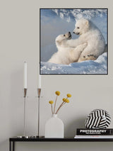 Poster och Canvastavla