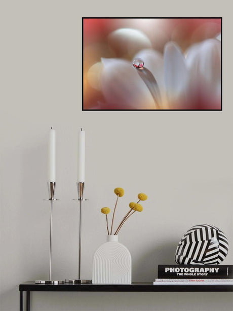 Enigma.. Poster och Canvastavla