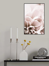 Chrysanthemum No 07 Poster och Canvastavla