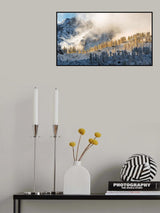 Golden larches in the mountains Poster och Canvastavla