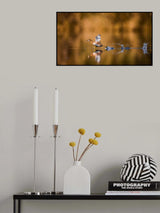 Running over The Water Poster och Canvastavla