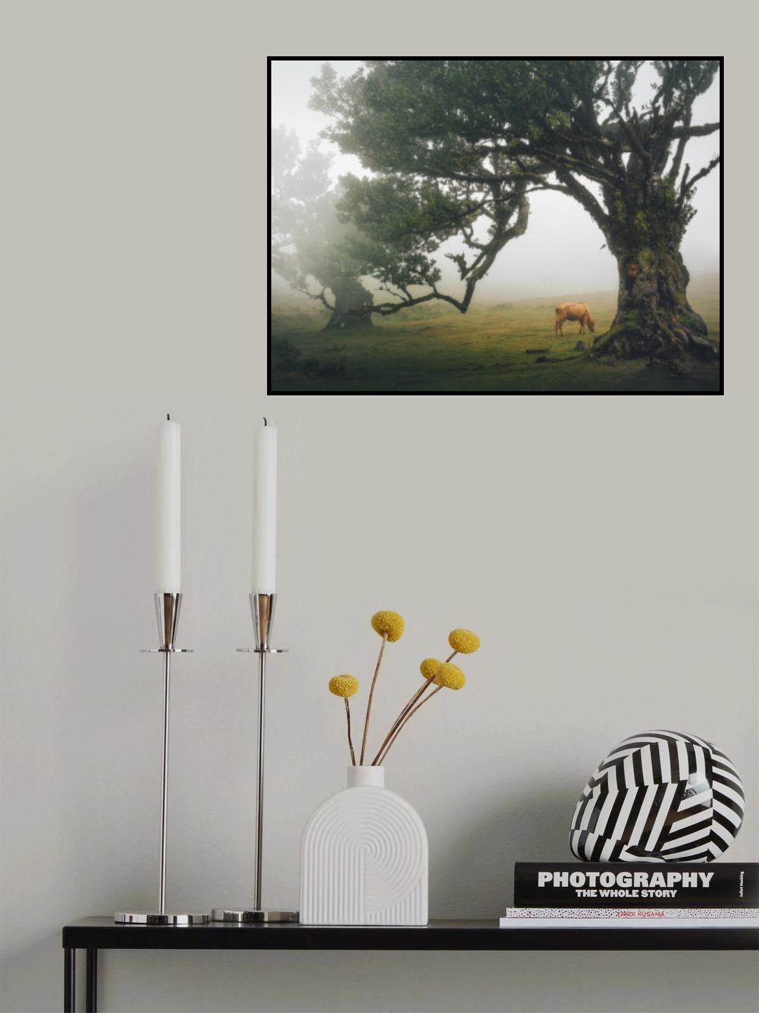 Embracing the Stillness Poster och Canvastavla