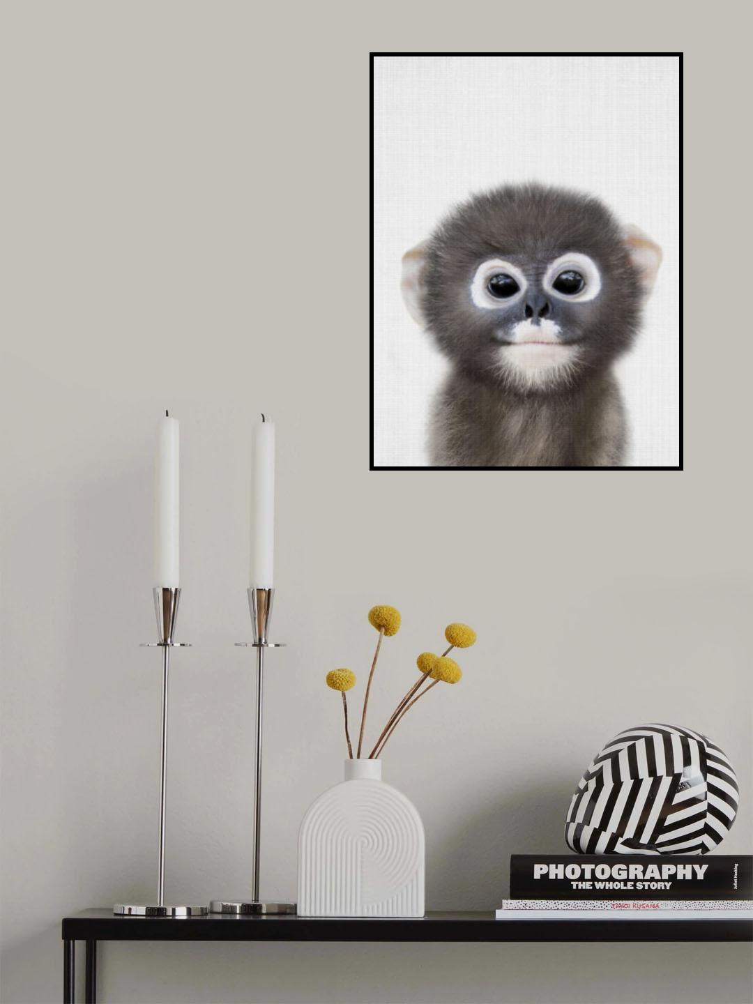 Peekaboo Baby Monkey Poster och Canvastavla