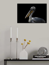 Pelican Poster och Canvastavla