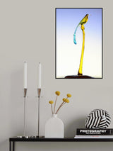 Waterbird Poster och Canvastavla