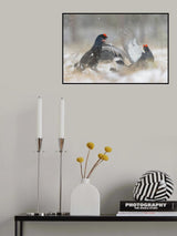 SNOW FIGHT Poster och Canvastavla