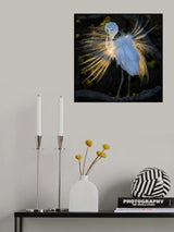 Golden Moment Poster och Canvastavla