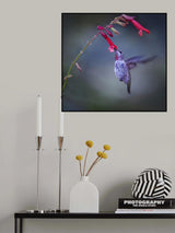Whispering Poster och Canvastavla