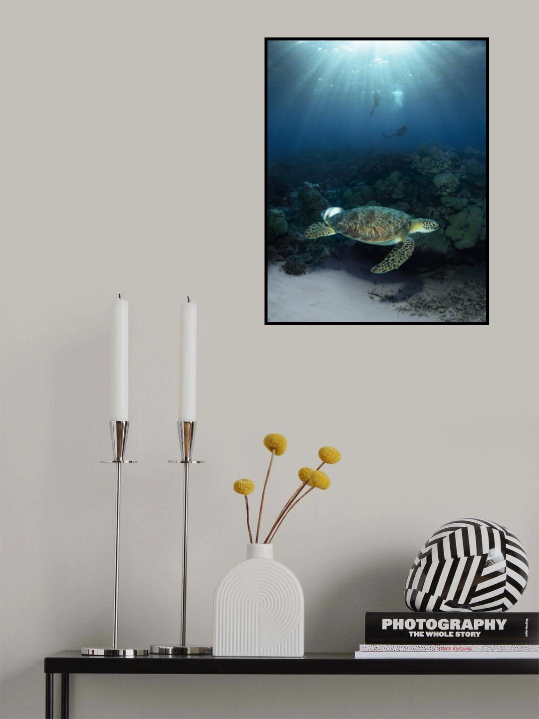 Maldives Poster och Canvastavla