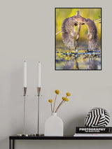 Azulada pescando Poster och Canvastavla