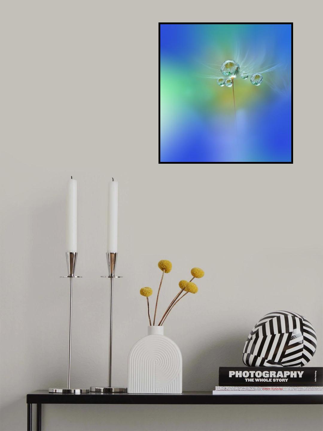 World of Drops Poster och Canvastavla