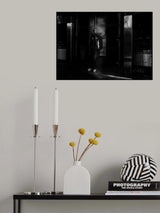 light &amp; shadow Poster och Canvastavla