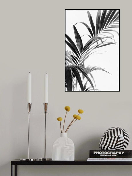 Palm Leaves Black and White 03 Poster och Canvastavla