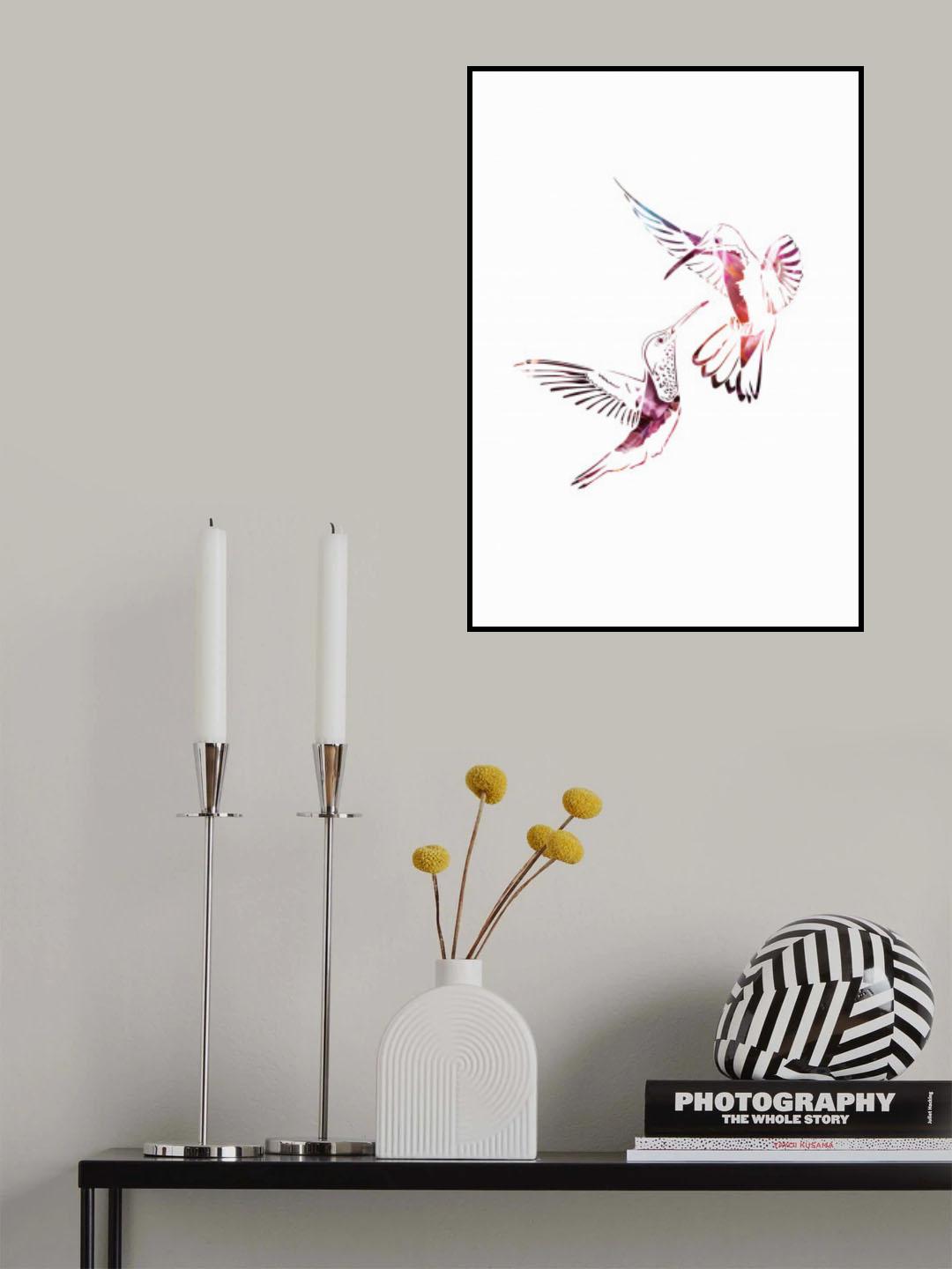 Colourful Hummingbirds Poster och Canvastavla