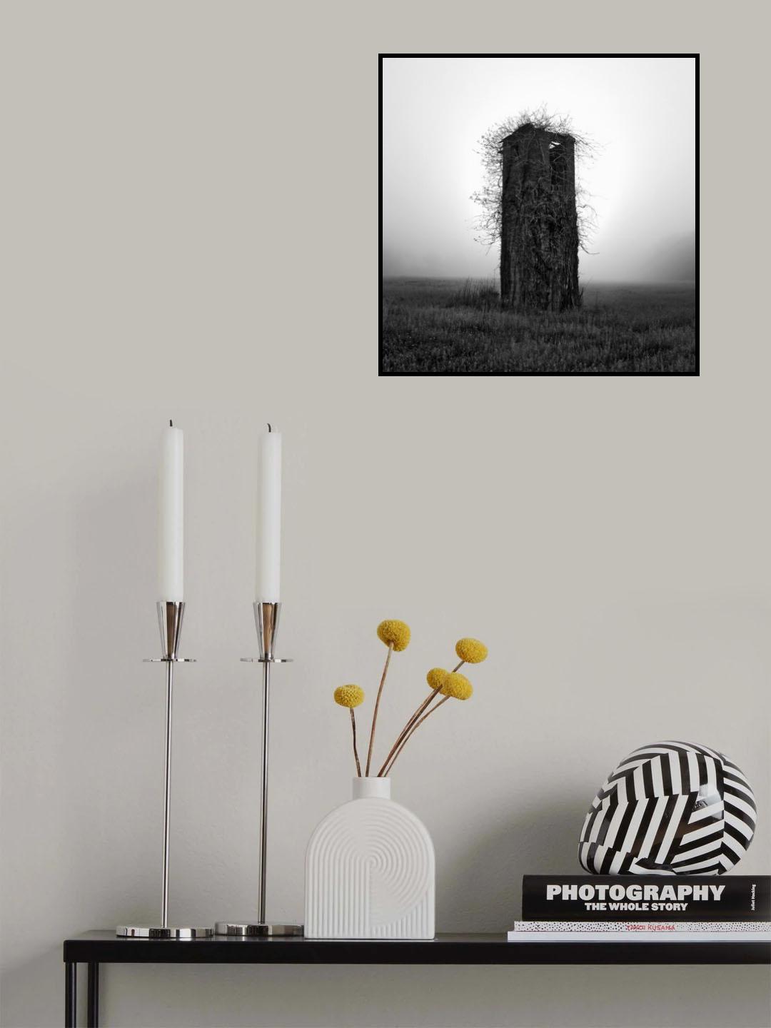 Hair Poster och Canvastavla
