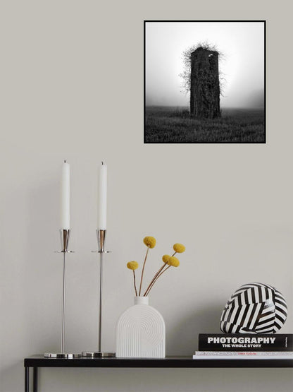 Hair Poster och Canvastavla