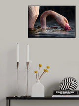 senza titolo Poster och Canvastavla