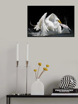 I Got It Poster och Canvastavla