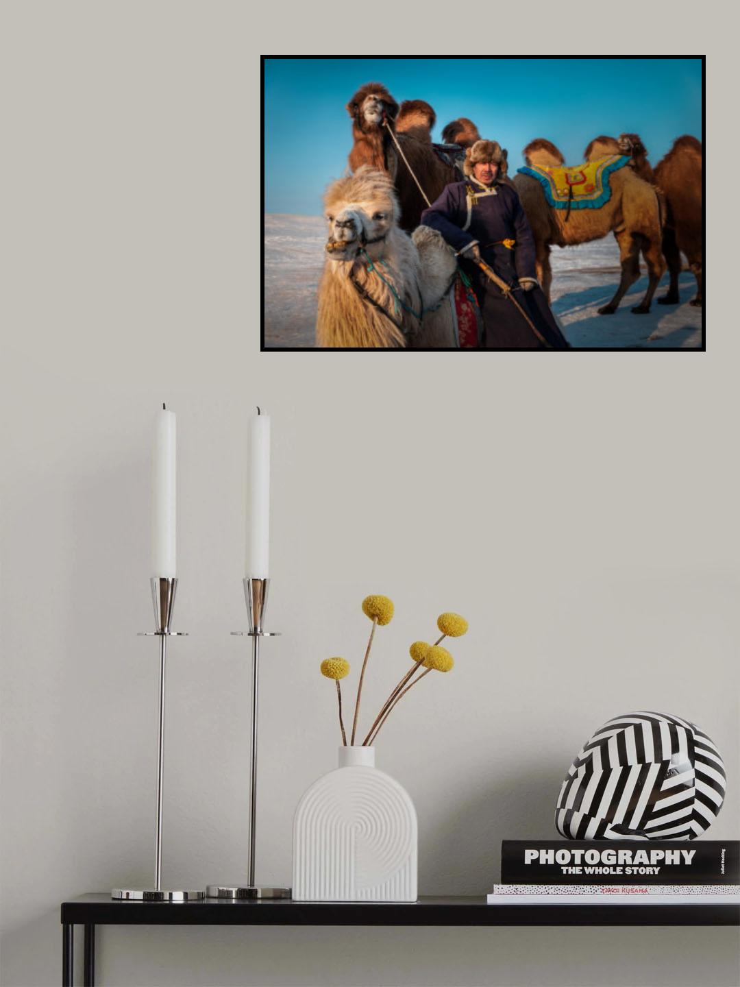 Farmer and His Camel Poster och Canvastavla