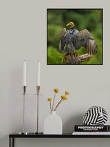 The Devil spreads his wings! Poster och Canvastavla