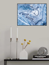 Snow and asphalt Poster och Canvastavla