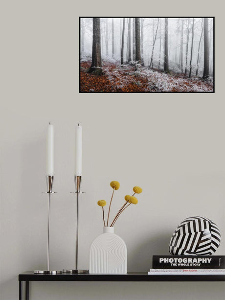 Winter moods Poster och Canvastavla