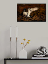 Landing Poster och Canvastavla