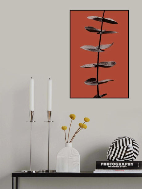 Eucalyptus Rust 03 Poster och Canvastavla