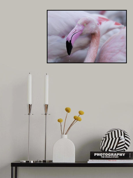 Unique mildness Poster och Canvastavla