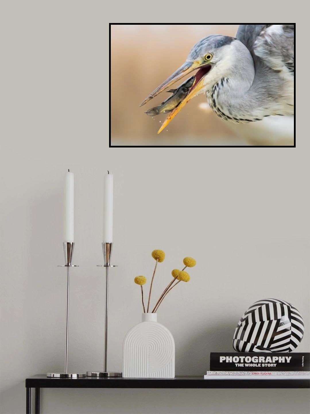 Gotcha Poster och Canvastavla