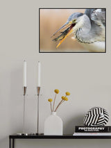 Gotcha Poster och Canvastavla