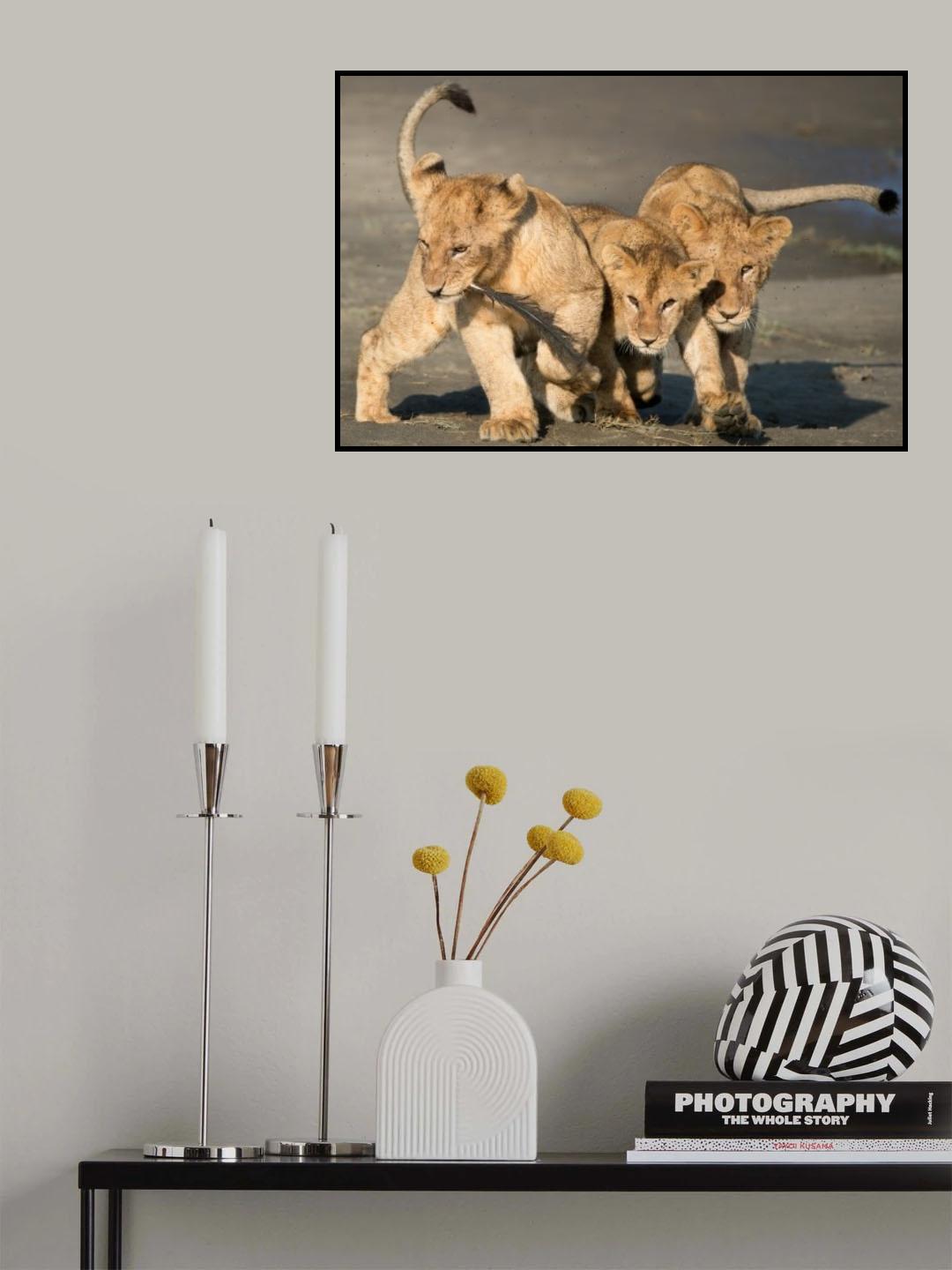 The Lion Gang Poster och Canvastavla